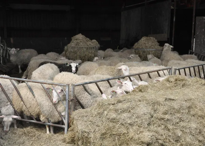 Large On Sheepfarm Bed & Breakfast