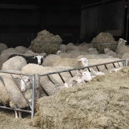 Large On Sheepfarm Frühstückspension